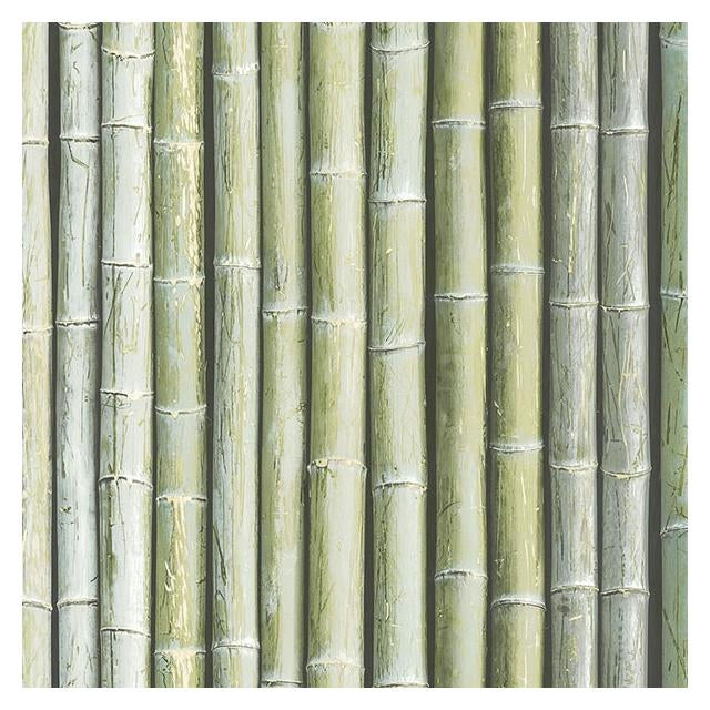 G67941 | Organic Textures, Green Bamboo Wallpaper - Norwall